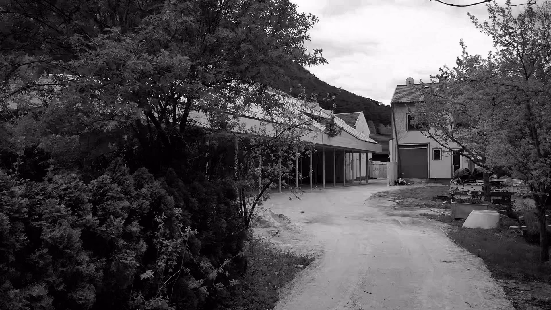 Kantine Starlinger: Holz im Rohzustand.