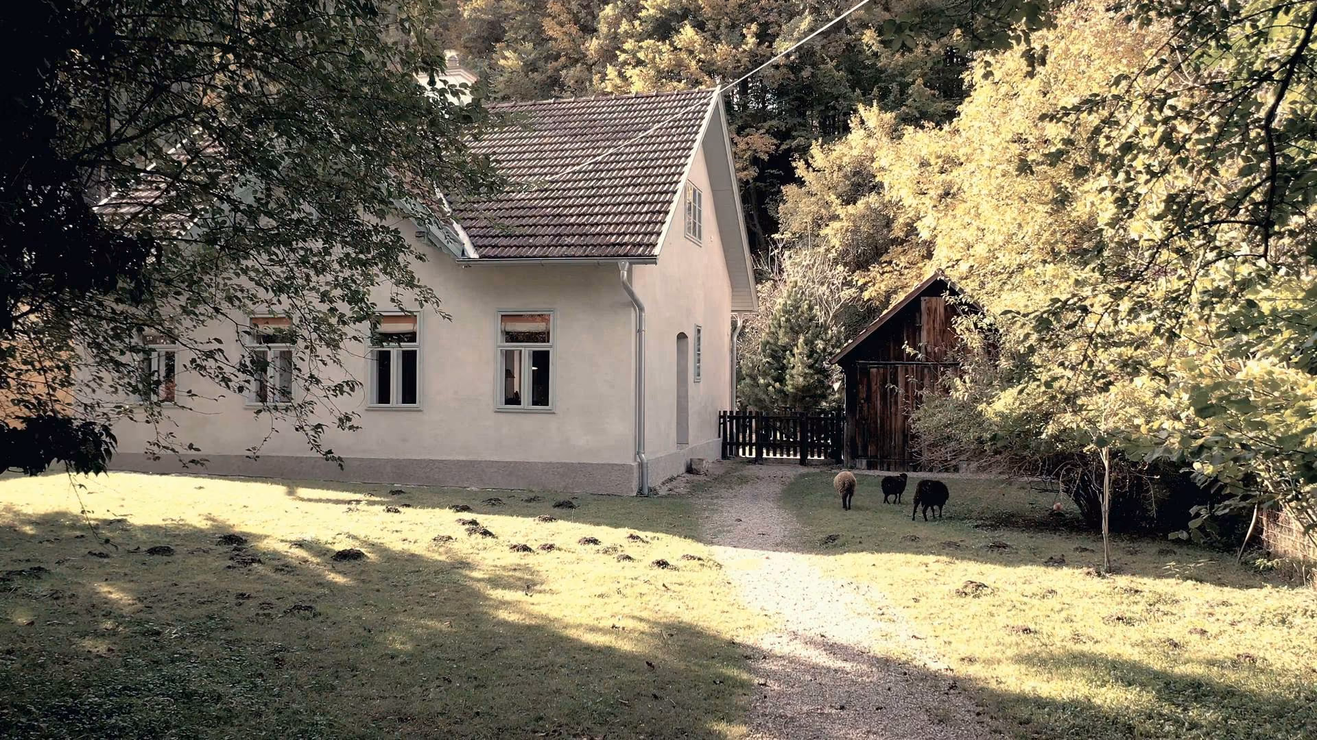 Das alte Haus mit dem Loft 71